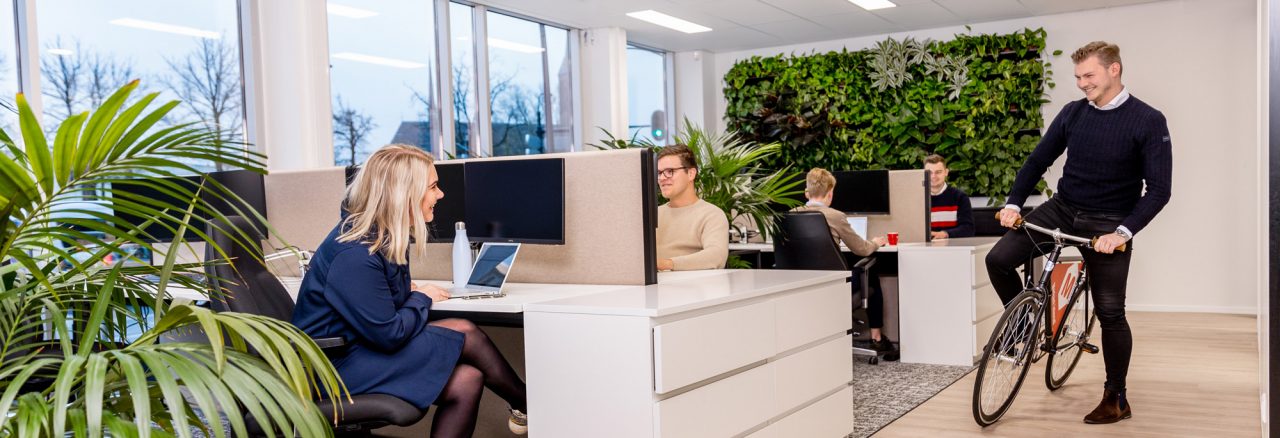 Adwords adverteren
