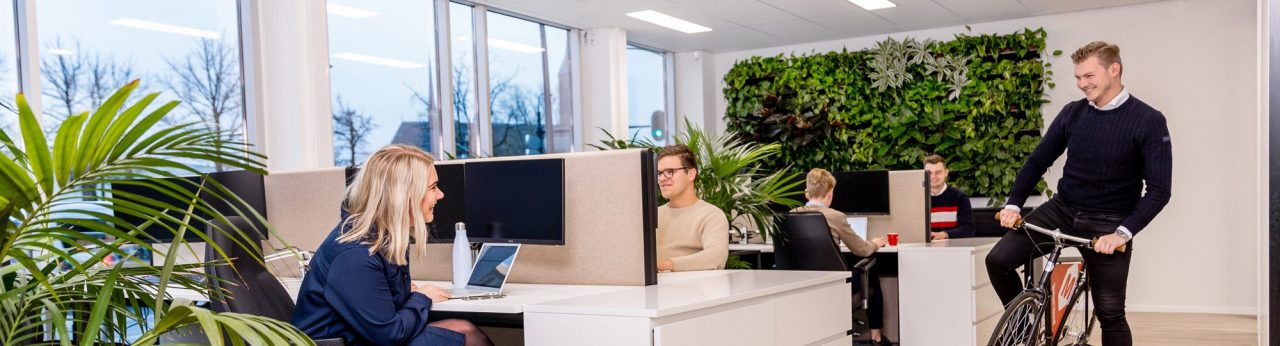 LinkedIn advertenties